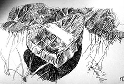 coracal prints £30 original £150