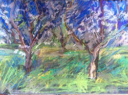 Apple Blossom, 42x28cm pastel on paper prints £100 original SOLD